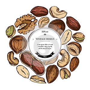 Round design with colored cashew, peanut, pistachio, hazelnut, almond, walnut