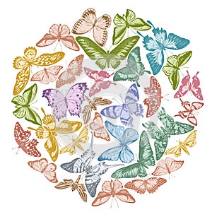 Round design with pastel papilio ulysses, morpho menelaus, graphium androcles, morpho rhetenor cacica, papilio demoleus