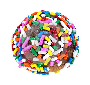 Round Donut with Sprinkles