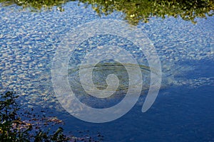 Round droplets of water over circles on the pool water. Water drop, whirl and splash. Ripples on sea texture pattern background.