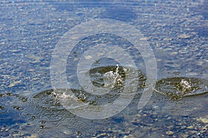 Round droplets of water over circles on the pool water. Water drop, whirl and splash. Ripples on sea texture pattern background.