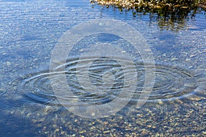 Round droplets of water over circles on the pool water. Water drop, whirl and splash. Ripples on sea texture pattern background.