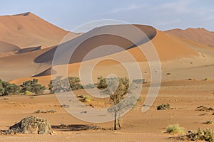 round edge of big red dune, Naukluft desert near Sossusvlei, Namibia