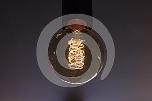 Round Edison light bulb