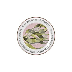 Round emblem with hand drawn macrocystis seaweed