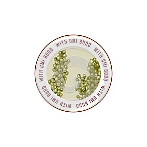 Round emblem with hand drawn Sea grapes or Umi Budo algae