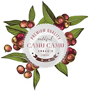 Round emblem with type design over hand drawn colorful camu camu branches photo