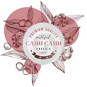 Round emblem with type design over hand drawn colorful camu camu branches photo