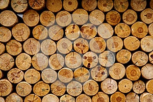 Round firewood texture. Pile of wood logs ready for winter