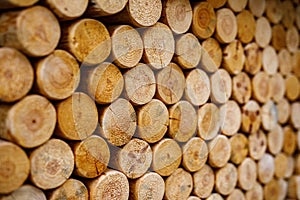 Round firewood texture. Pile of wood logs ready for winter