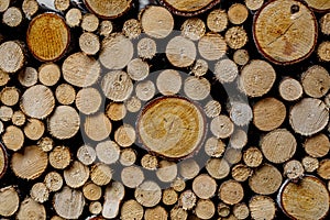 Round firewood texture. Pile of wood logs ready for winter