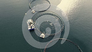 Round fishing farm enclosures and fisher boat in the middle of the sea in Norway. View from above.