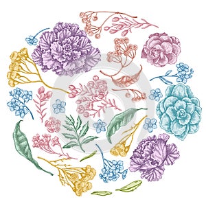 Round floral design with pastel wax flower, forget me not flower, tansy, ardisia, brassica, decorative cabbage