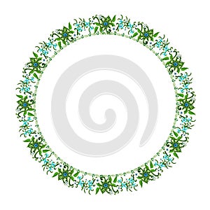 Round floral ornament on a white background