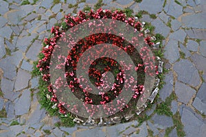 Round flowerbed texture surrounded by stone pavement top view background