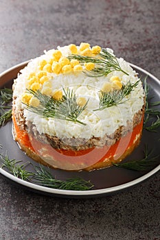 Round formed mimosa salad with vegetables, eggs and canned fish closeup on gray plate. Vertical