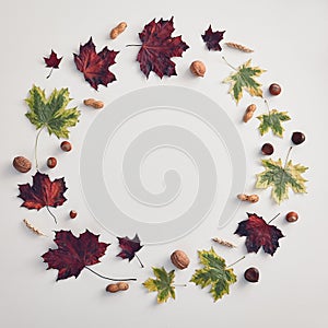 Round frame with autumn flora flat lay