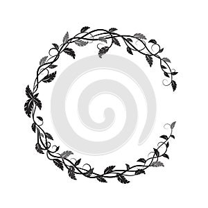 Frame with black and gray tropical leaves and lianas photo