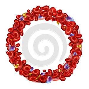 Round frame of blood cells. Vector