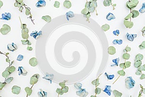 Round frame of blue flowers and eucalyptus on white background, Flat lay, Top view. Floral pattern.