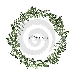 Round frame, border or circular wreath made of beautiful ferns, wild herbs or green herbaceous plants isolated on white