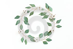 Round frame with branches eucalyptus and leaves isolated on white background. lay flat, top view