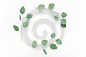 Round frame with branches eucalyptus and leaves isolated on white background. lay flat, top view