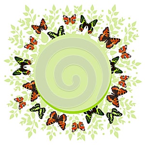 Round frame with butterflies. Border of colorful butterflies