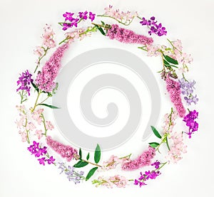 Round frame with colorful toadflax flowers on white background. Flat lay, top view