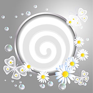 Round frame and daisy