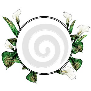 Round frame decorated with Calla plant with flower buds and leaves