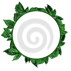 Round frame decorated with leaves