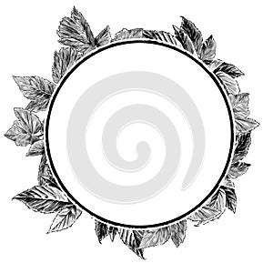 Round frame decorated with leaves