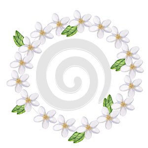 Round frame frangipani watercolor illustration. Hand drawn isolated on white background.