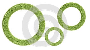 Round frame from grass isolated