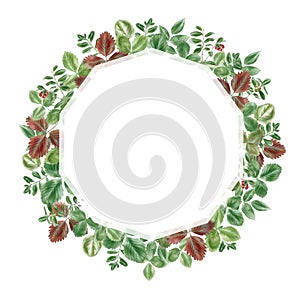 Round frame from green leaves decoration illustration for text