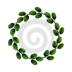 Round frame of green leaves isolated on white, hand drawn marker illustration in watercolor technique