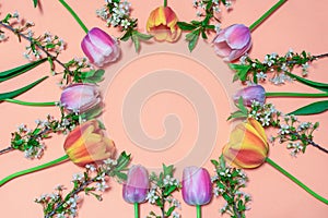 Round frame made of colorful pink and orange tulips and cherry blossom twigs on peachy paper background. Beautiful spring layout.