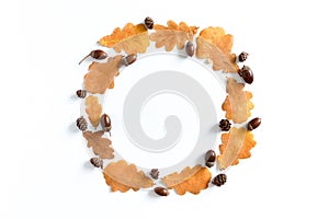 Round frame made from oak leaves, acorns and cones