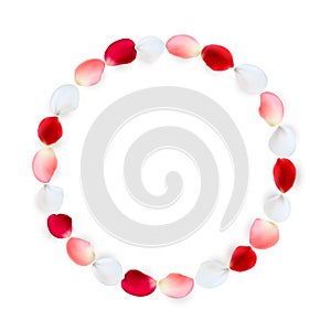 Round frame made of rose petals. White, red and pink petals arranged in a circle.