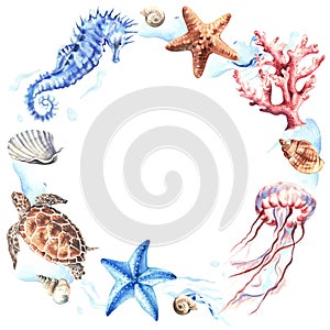 Round frame of marine animals and shells. Wreath of underwater objects isolated on white. Hand drawn watercolour. Clip