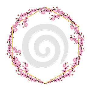 Round frame with pink cherry blossom flowers isolated on white