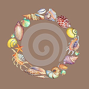 Round frame of sea shells.