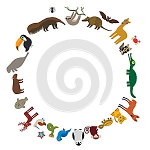 Round frame. Sloth anteater toucan lama bat seal armadillo boa manatee monkey dolphin Maned wolf raccoon jaguar Hyacinth macaw liz