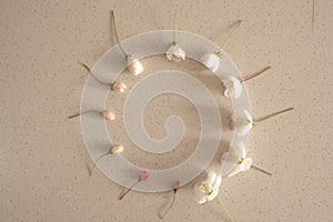 Round frame surrounded by buds and white flowers, top view, copy space, terrazzo texture background