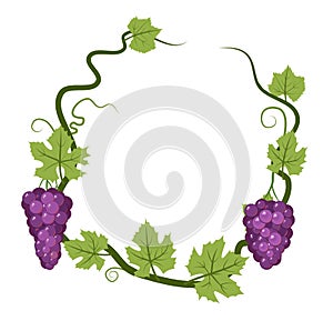 Round Frame. Vine with foliage and bunches of grapes. Viticulture and farming. Branches with berries on a dense bush