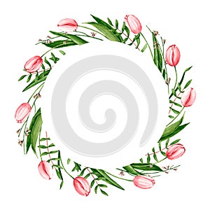 Round frame with watercolor pink tulips, genista, pistache branches. Hand drawn illustration is isolated on white. Wreath