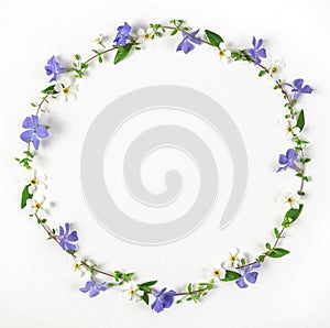 Round frame wreath made of spring wildflowers, lilac flowers and leaves isolated on white background. Flat lay.