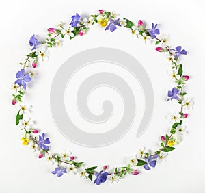 Round frame wreath made of spring wildflowers, lilac flowers, pink buds and leaves isolated on white background. Flat la