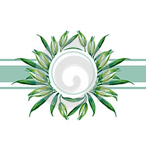 round frame wreath template for cards and invitations hand drawn watercolor white green lily flowers